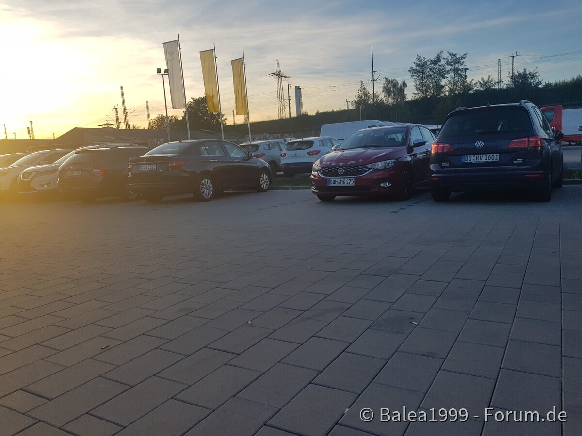 Meine Tipo Sichtungen ;)