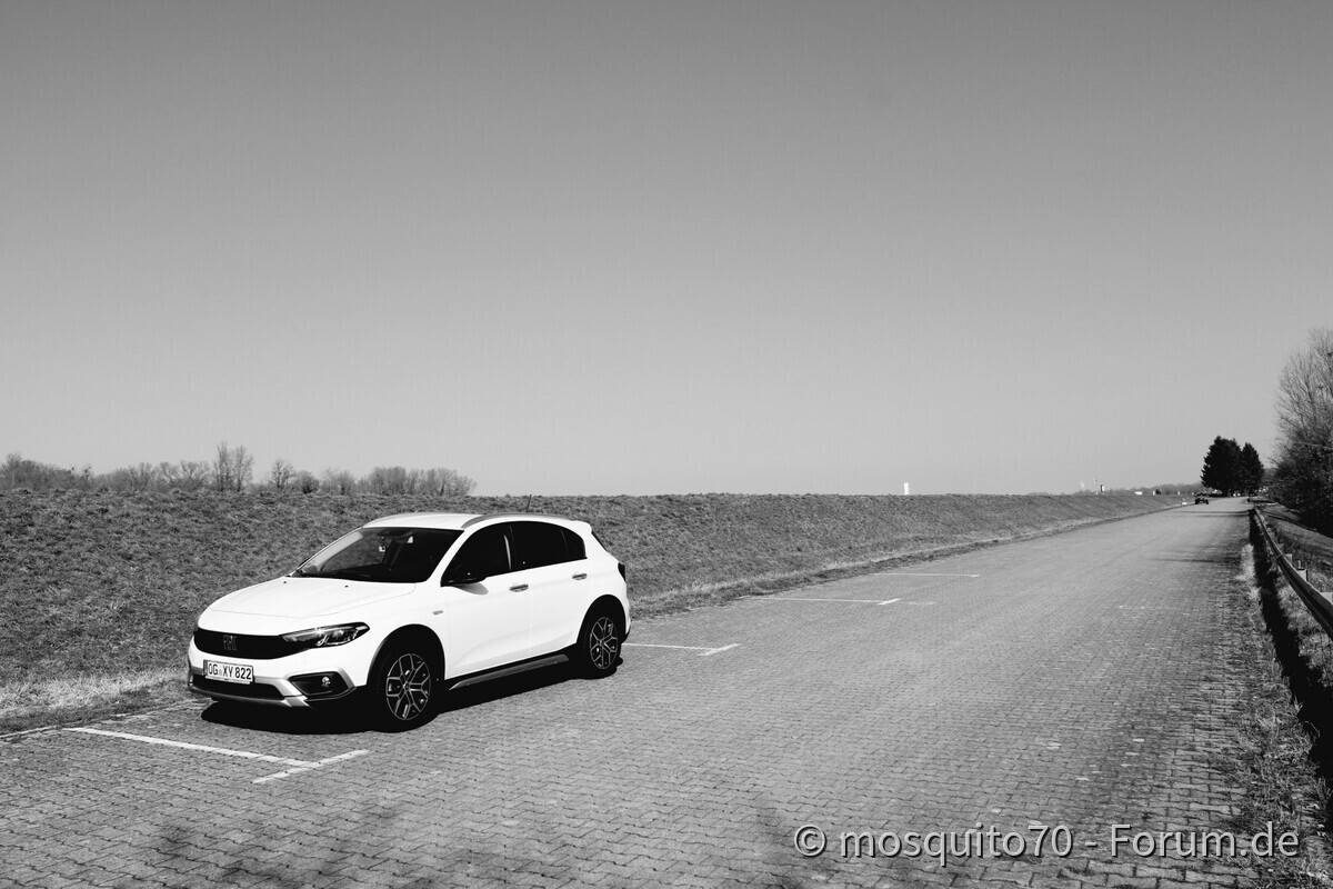 Cross Black &White