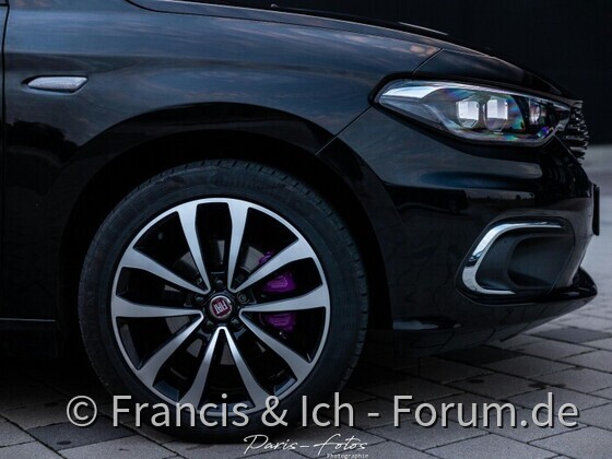 Francis durfte Modelstehen...