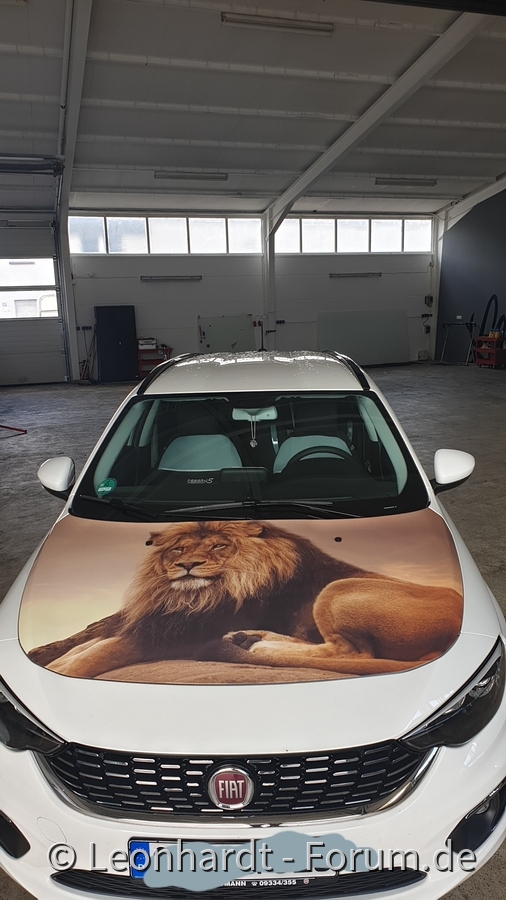 Im neuen Gewand