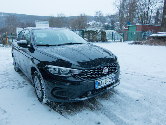 Mein Tipo im Schnee :)