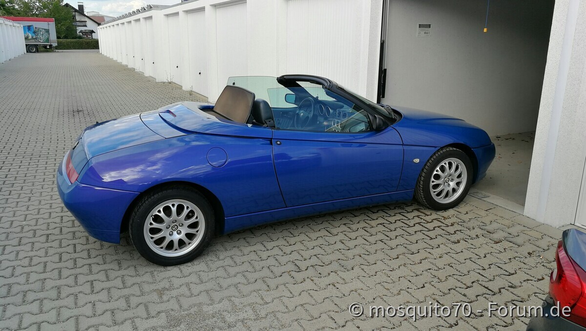 Das Ende des Dornröschenschlaf