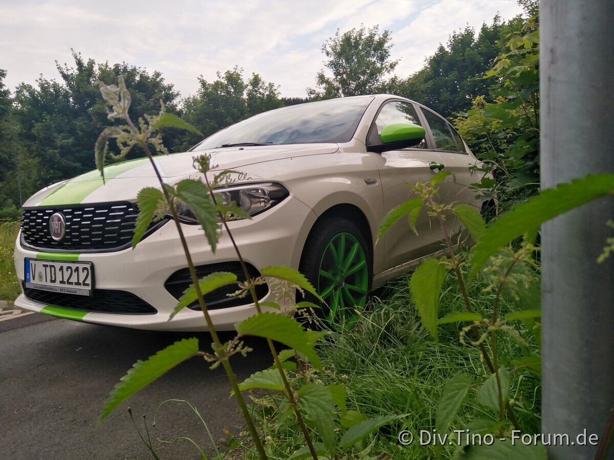 Green white Tipo
