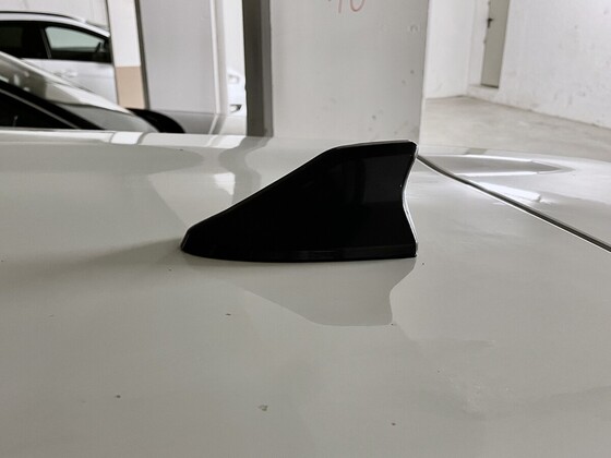 Shark-Antenne verbaut