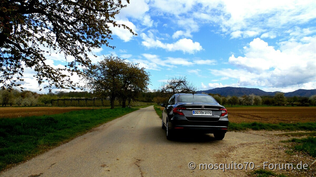 Kleines Limousinen Foto Shooting