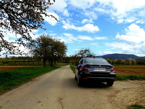 Kleines Limousinen Foto Shooting