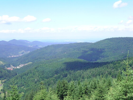 Nordschwarzwaldimpressionen...Kaltenbronn/Teufelsmühle/-turm