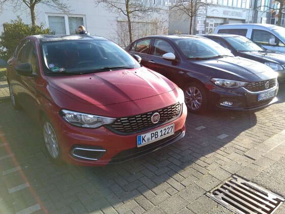 Limousinen-Zwillinge