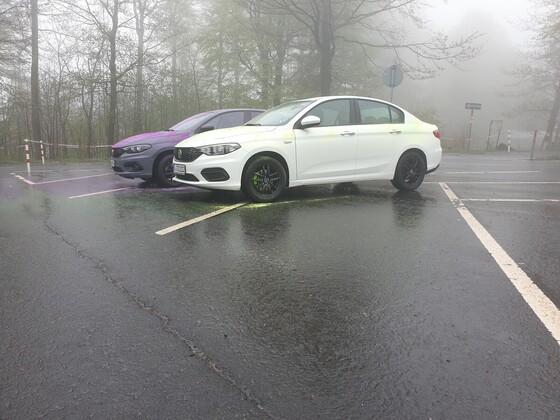 Schotten 2.0 mit Farbe