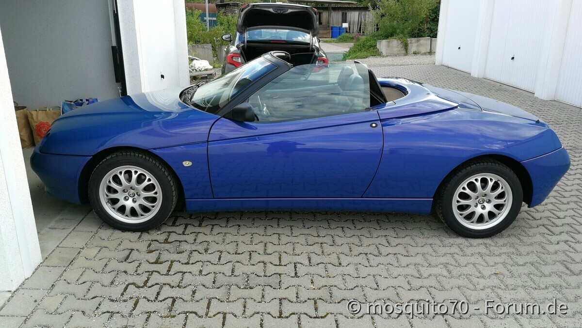 Das Ende des Dornröschenschlaf