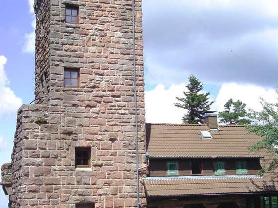 Nordschwarzwaldimpressionen...Kaltenbronn/Teufelsmühle/-turm