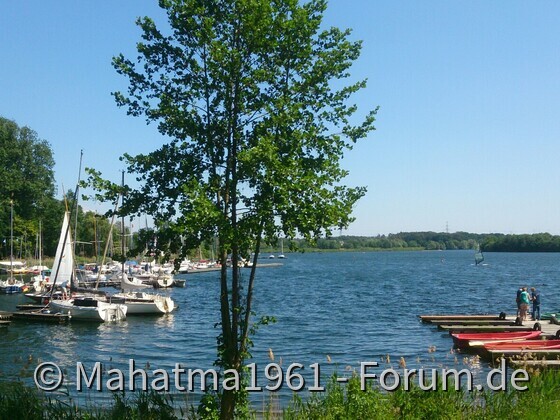 Tipo geniesst Pfingsten