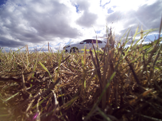 Hatchback in der Wiese