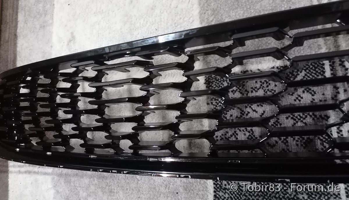 cleaner Frontgrill