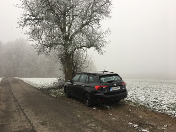 Saukalt!
