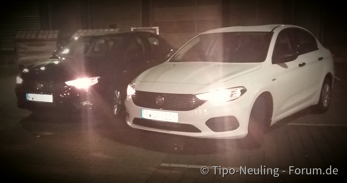1. Tipo Treffen Frankfurt
