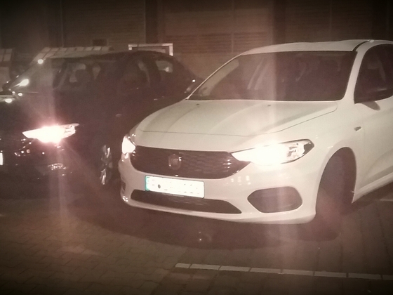1. Tipo Treffen Frankfurt