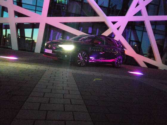 Black Viper bei Nacht