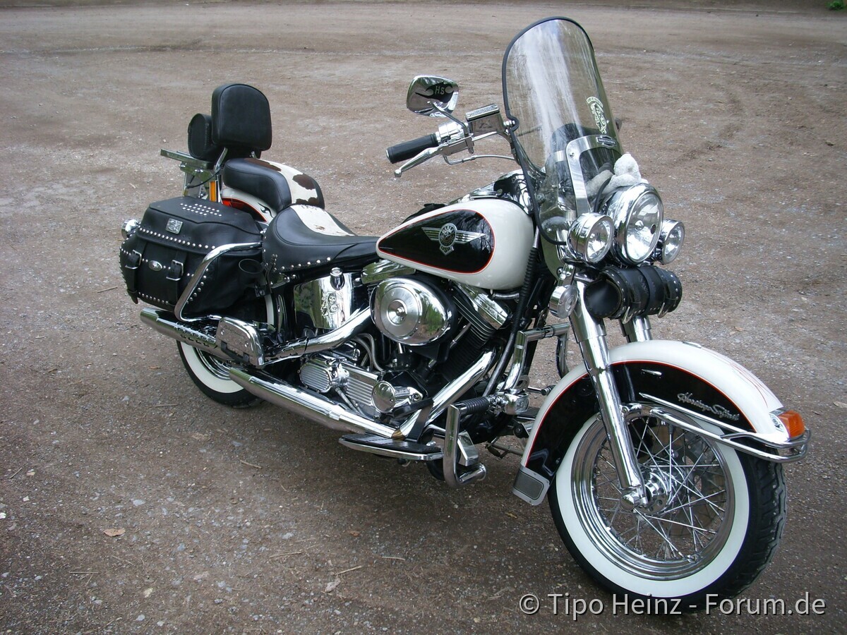 Harley FLSTN