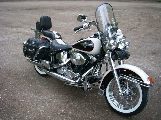 Harley FLSTN