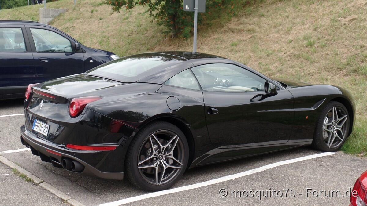 Heute waren wir am Schluchsee in guter Gesellschaft