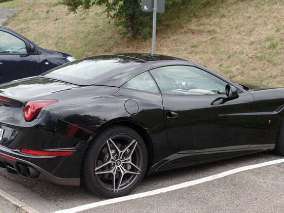 Heute waren wir am Schluchsee in guter Gesellschaft