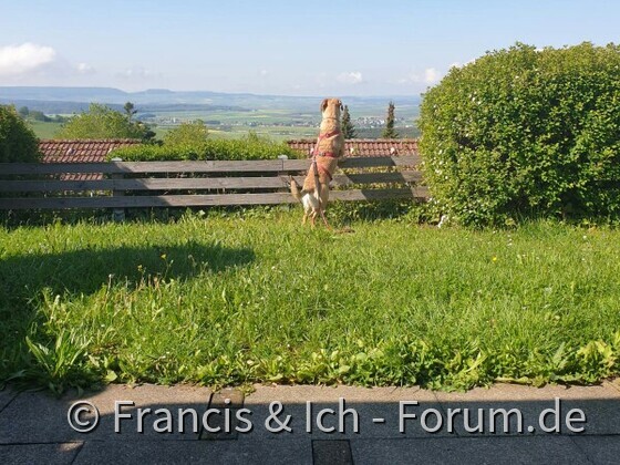Noch ein paar Bad Dürrheim 1.0