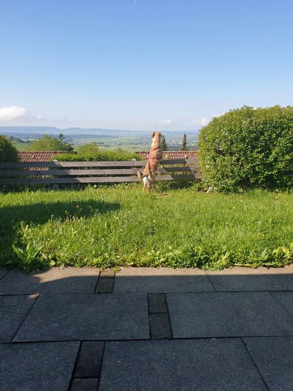 Noch ein paar Bad Dürrheim 1.0