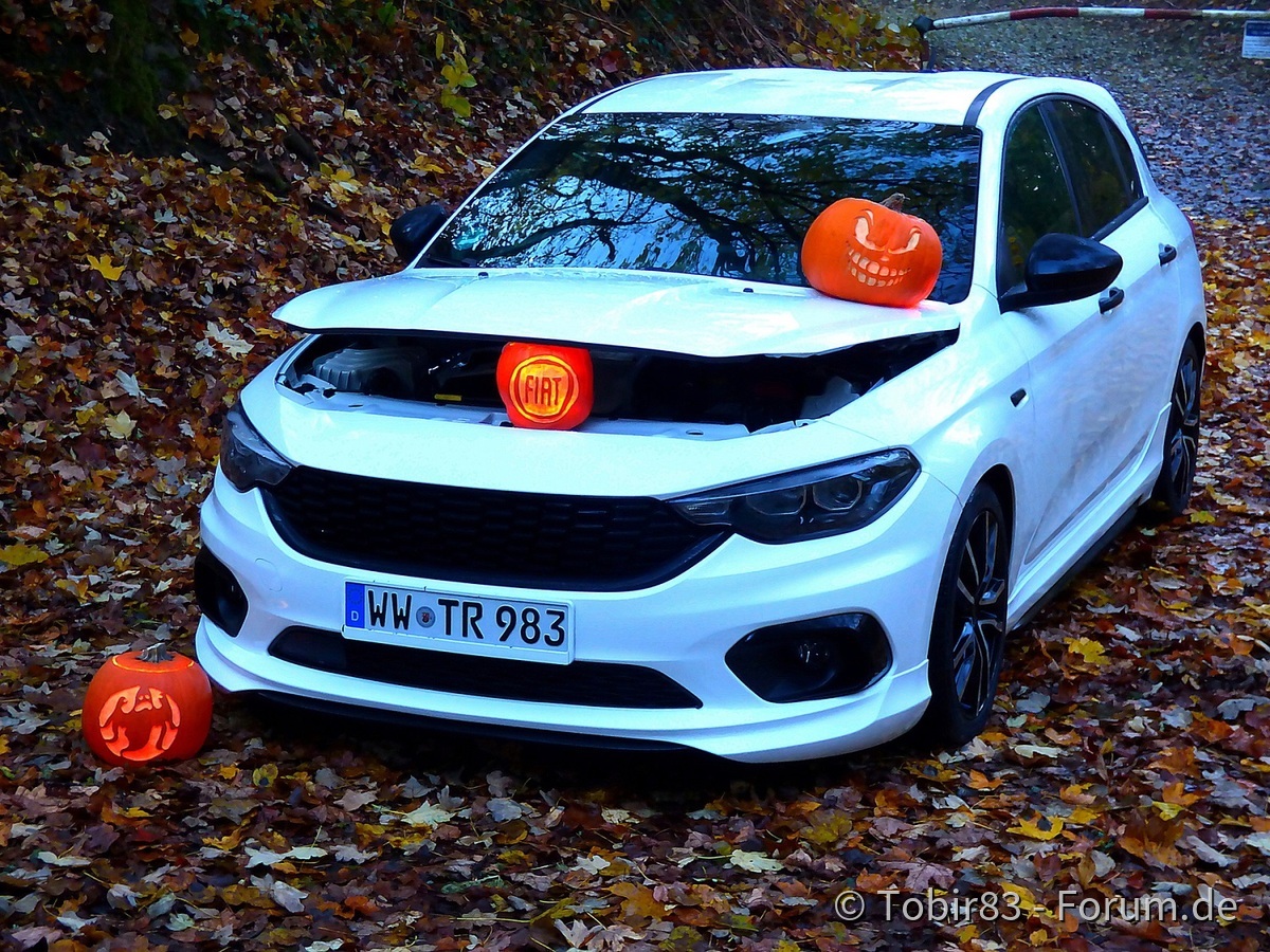 Happy Halloween