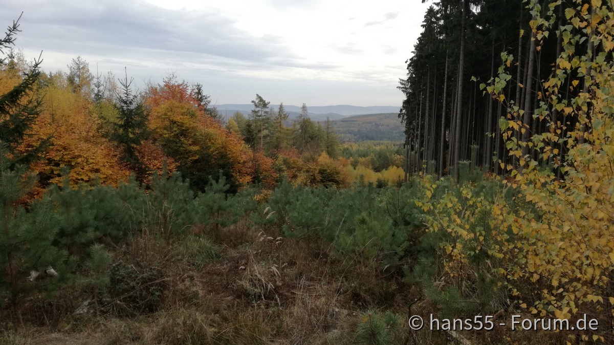 Herbst