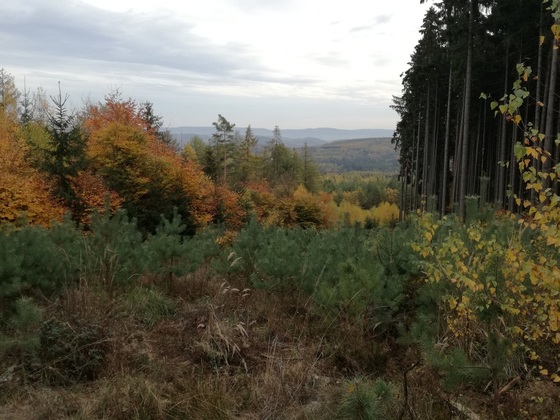Herbst