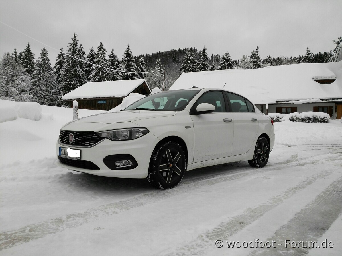 ANTONIO im Winterurlaub (Bild2)