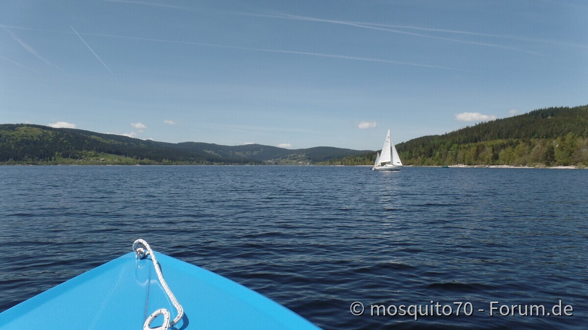 Black Forrest Connection