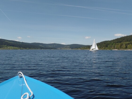 Black Forrest Connection