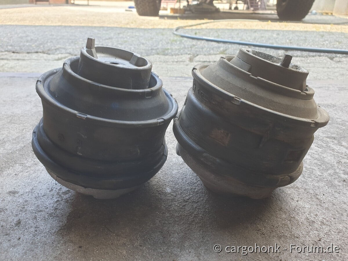 Heut ging es hier mal weiter