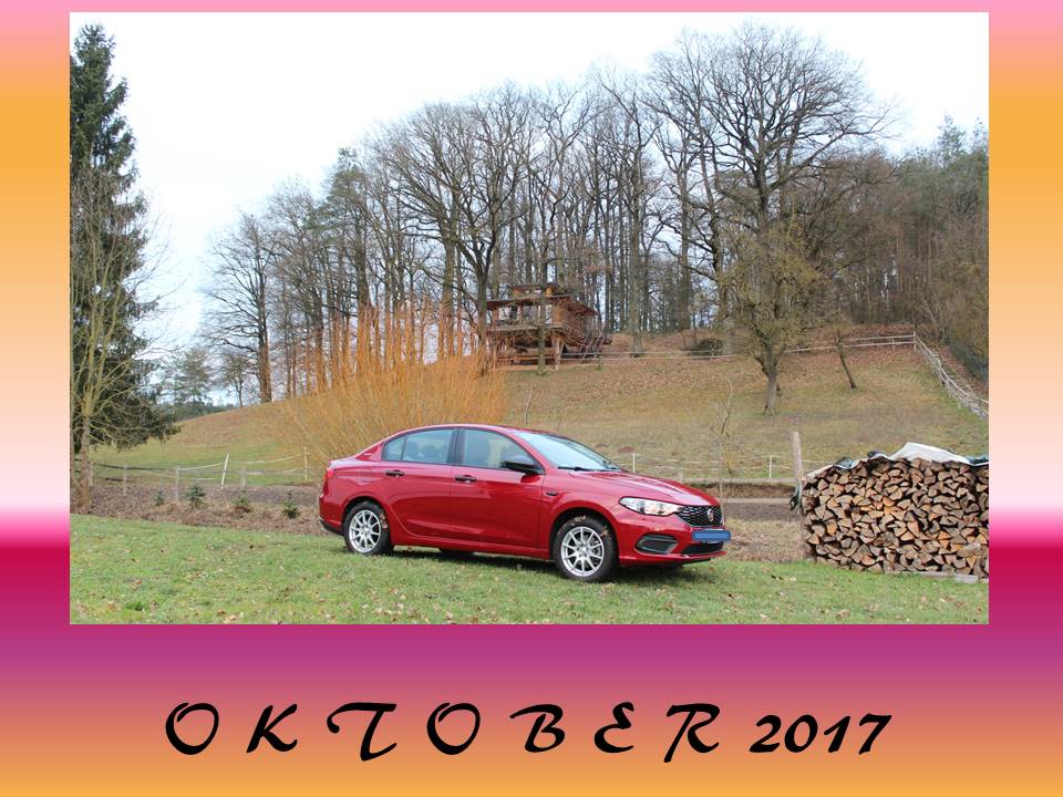 "Privater" TIPO-Kalender 2017