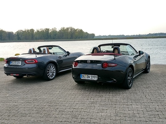 Ausritt zum Rhein