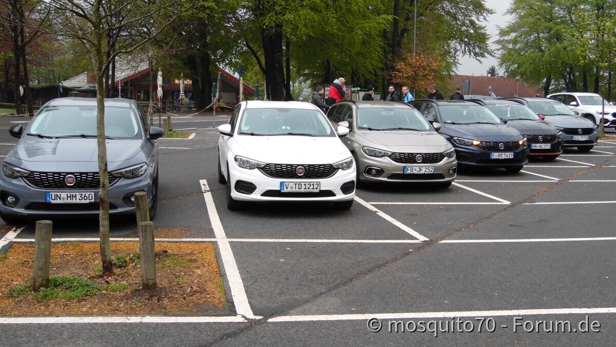 Schotten im April 2019