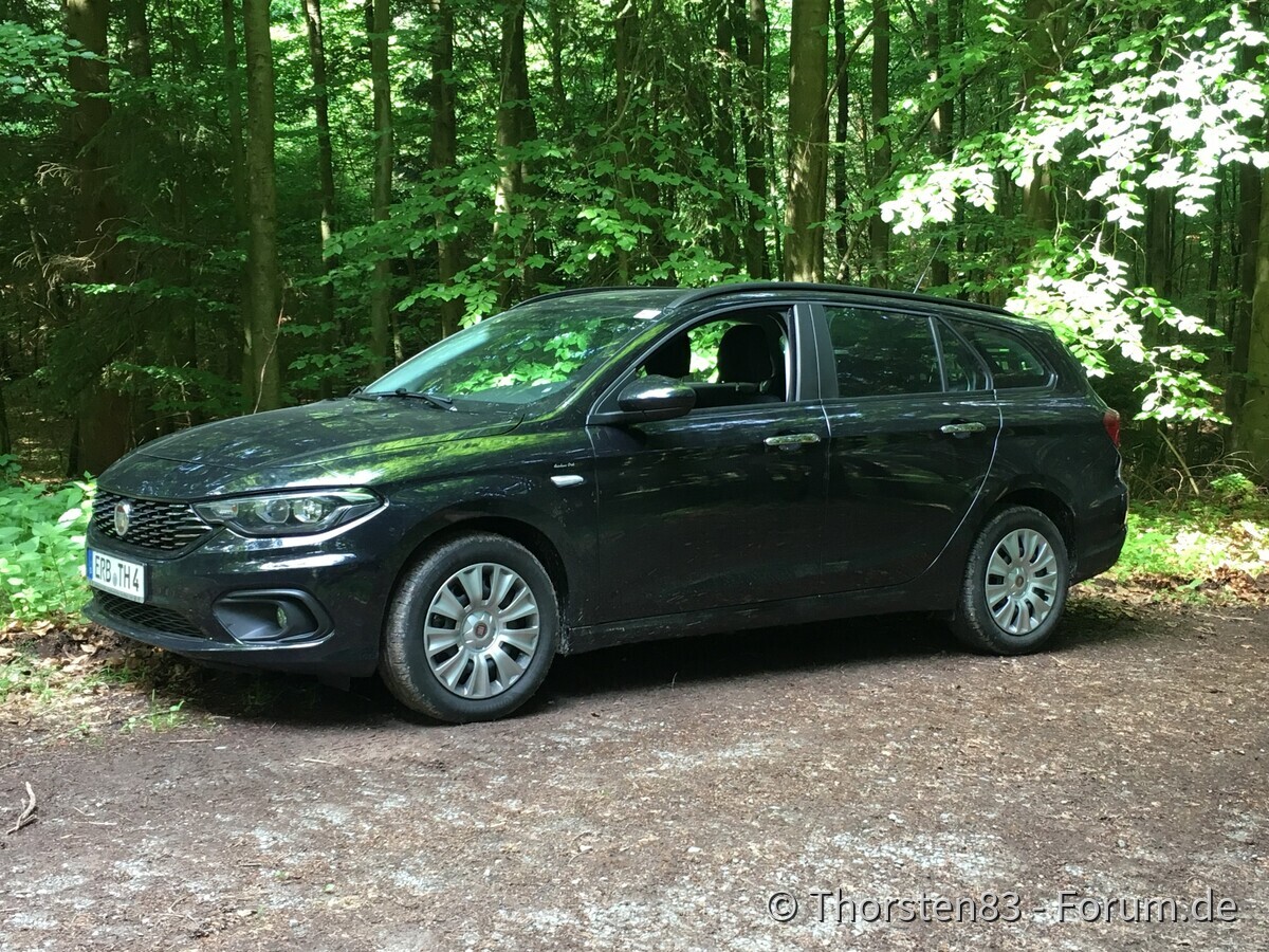 Ein Tipo steht im Walde.......