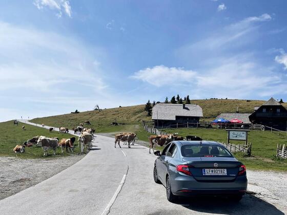 Steiermark-Urlaub