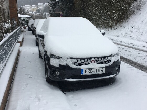 Der erste Frühlingsschnee