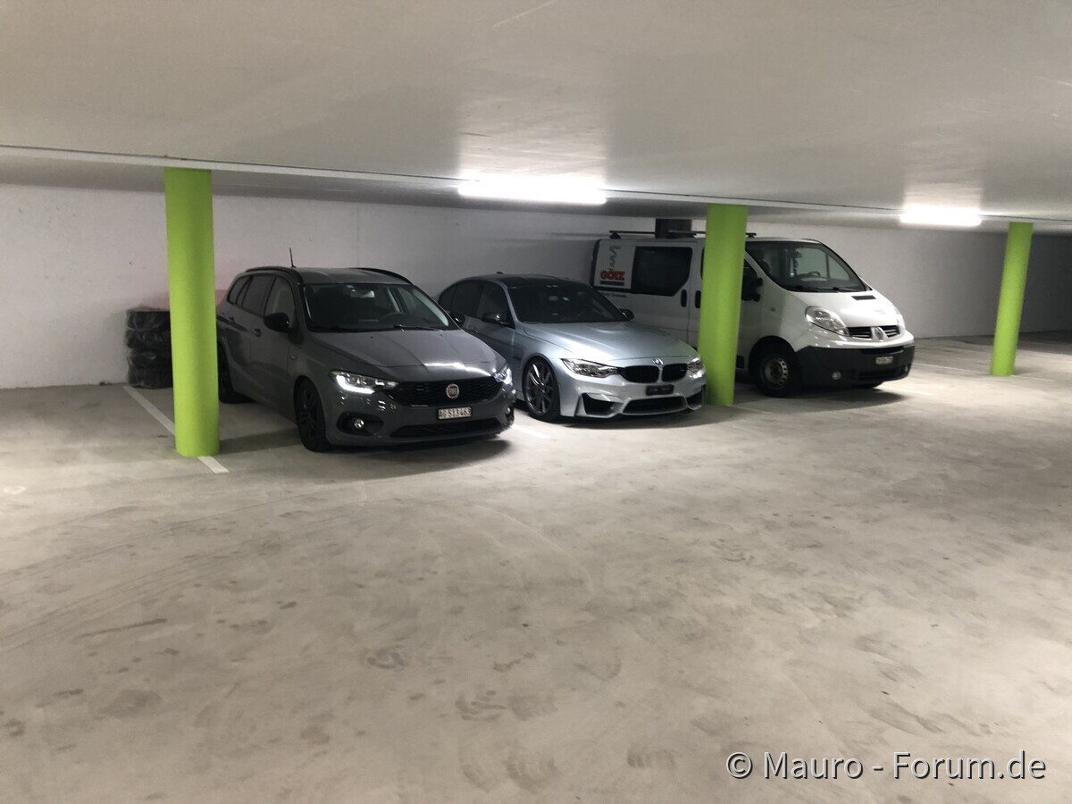 Unsere Beautys