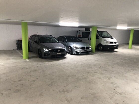 Unsere Beautys