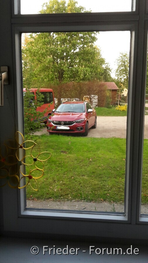 Draußen vor dem Fenster: (M)Ein Tipo...