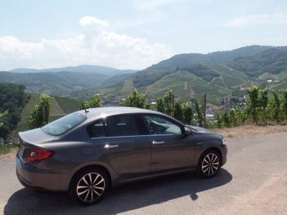 Der Tipo und die Weinberge über Durbach