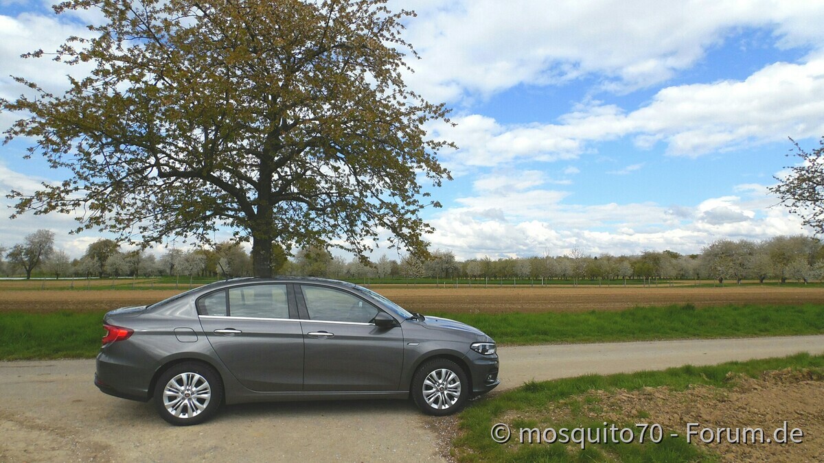 Kleines Limousinen Foto Shooting