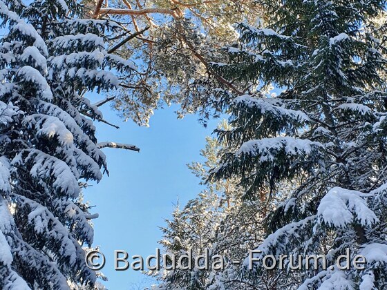 Winterspazierung in Südschweden