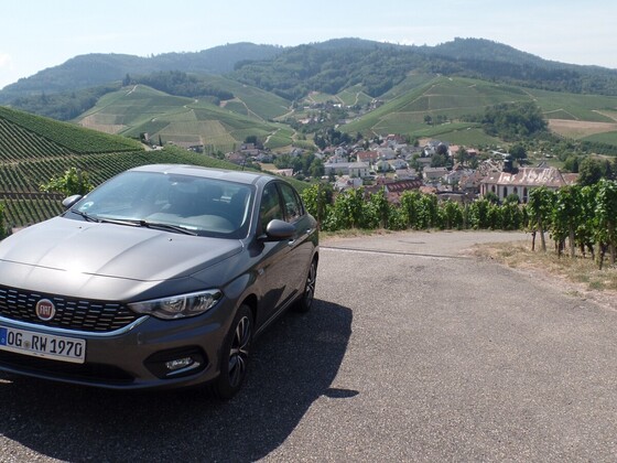 Der Tipo und die Weinberge über Durbach