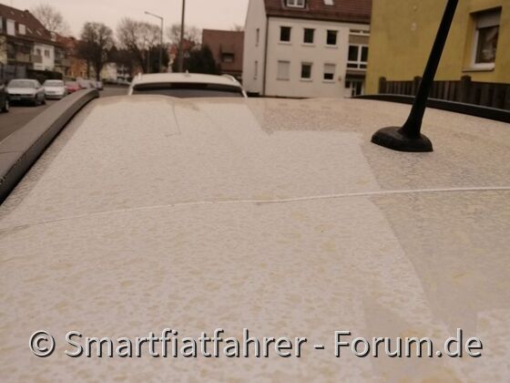 Vor zwei Tagen aufwendig geputzt und dann....