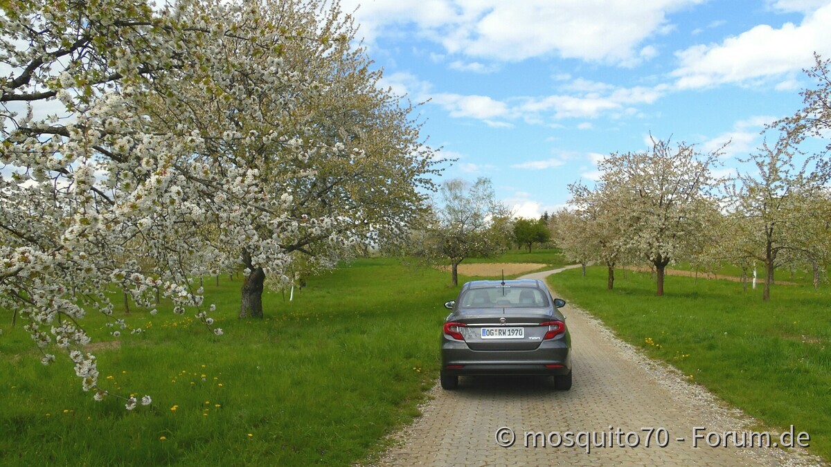 Kleines Limousinen Foto Shooting